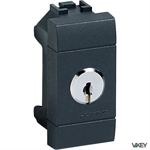 Living Int - Deviatore 1P 16A A Chiave | Bticino